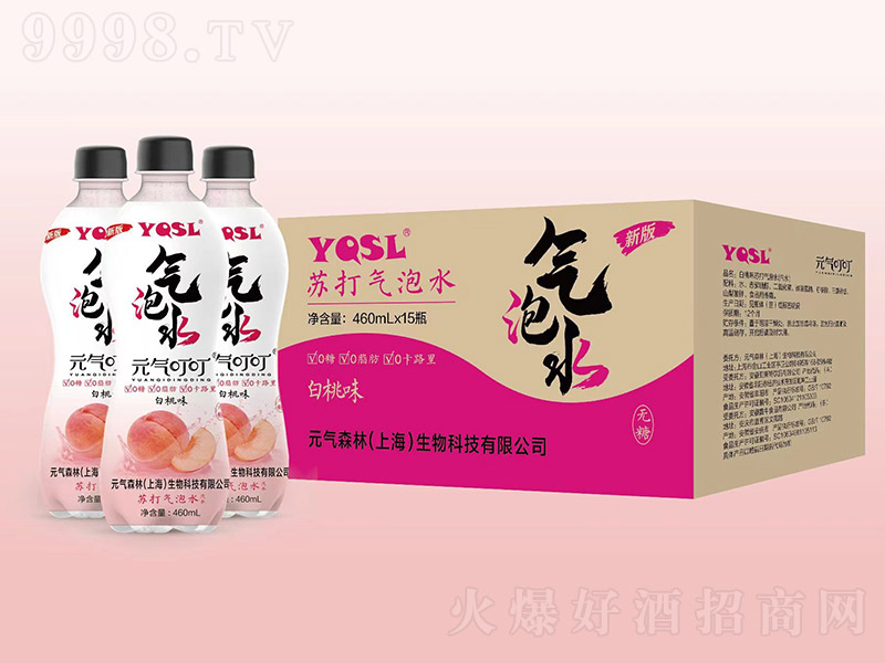 YQSLKˮζ460ml15ƿ-Ϣ